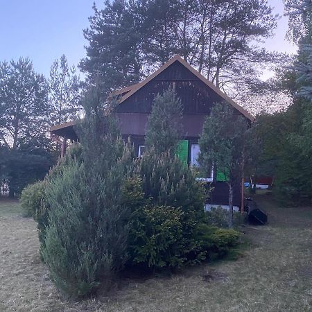 Вілла Dom Pod Sosnami Rzewnie Екстер'єр фото